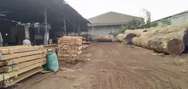 Dijual Area Peternakan Ayam Beserta Kandang di Gondang Mojokerto