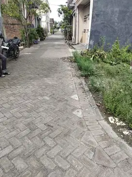 TANAH MEPET PERUMAHAN BUKIT PALMA CITRALAND HARGA BERSAHABAT