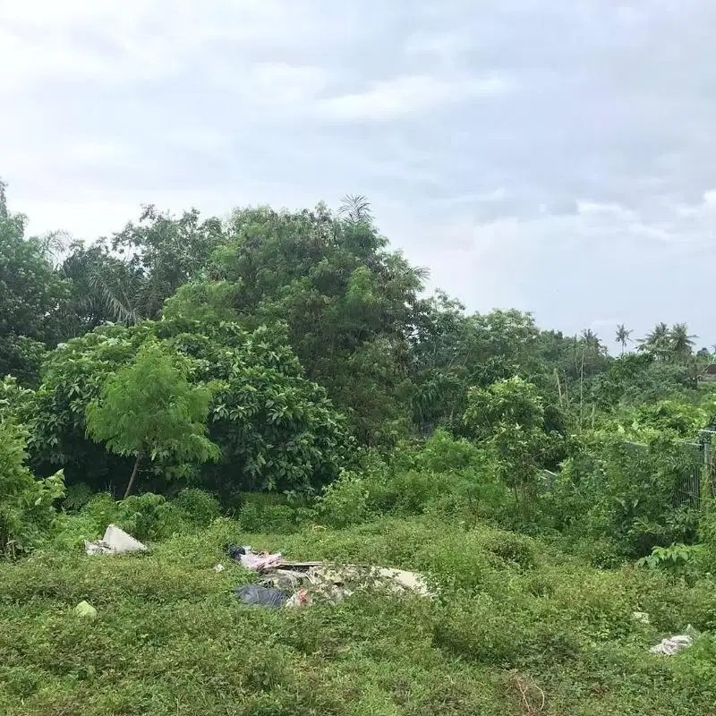 LAHAN DI AREA DESTINASI WISATA DI KEMENUH, UBUD - BALI