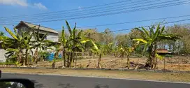 Di Jual Cepat Tanah Startegis Zona Induatri Lamongan Jawa Timur