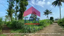 Dijual Tanah Lelang di Desa Pakisjajar, Pakis Malang
