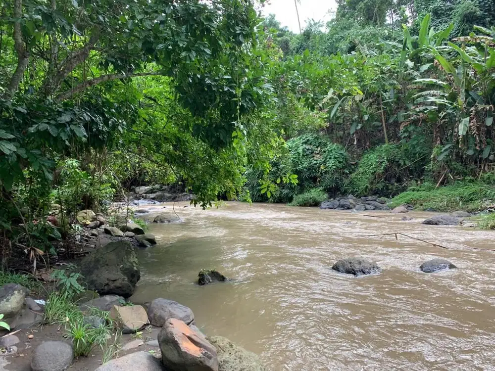 TANAH LUAS LOS SUNGAI LOKASI BUWIT TABANAN