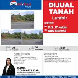 Tanah 42 Hektar cocok untuk industri