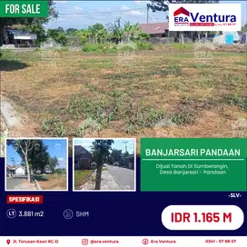 Dijual Tanah Di Sumberangin, Desa Banjarsari Pandaan