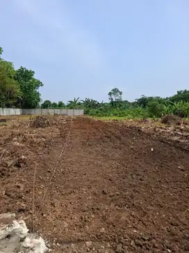Buruan! Kavling SHM Murah di Cisauk – Mulai 1 Jutaan/m², Lokasi Top