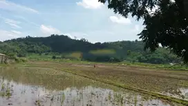 tanah sawah mainroad jln raya cipatik pataruman soreang