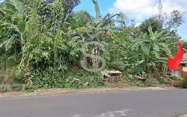 DIJUAL TANAH DI JL BUKIT RAYA KOTA BANDUNG