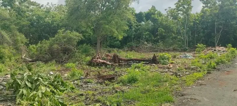 Lokasi dekat kampus unud Jimbaran cocok untuk kos kosan