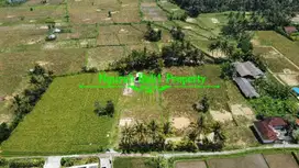Murah Tanah Sewa Luas 6 are View Sawah Dan Gunung di Ubud