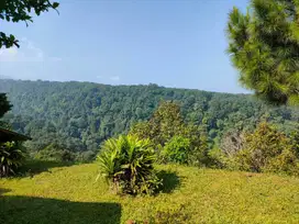 Jual Tanah 2,2ha View Gunung dan Kota di Pancawati Bogor