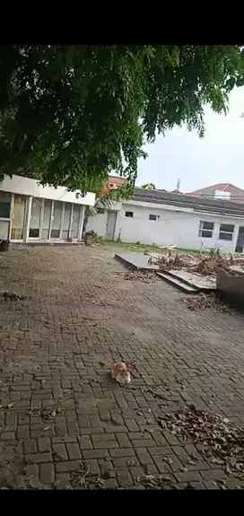 Dijual Murah Lahan Kebon jeruk 1273m2 Tidak Banjir Strategis Boulevard