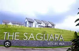 ‼️JUAL RUGI‼️TANAH COCOK BUAT VILLA DI PANDAAN