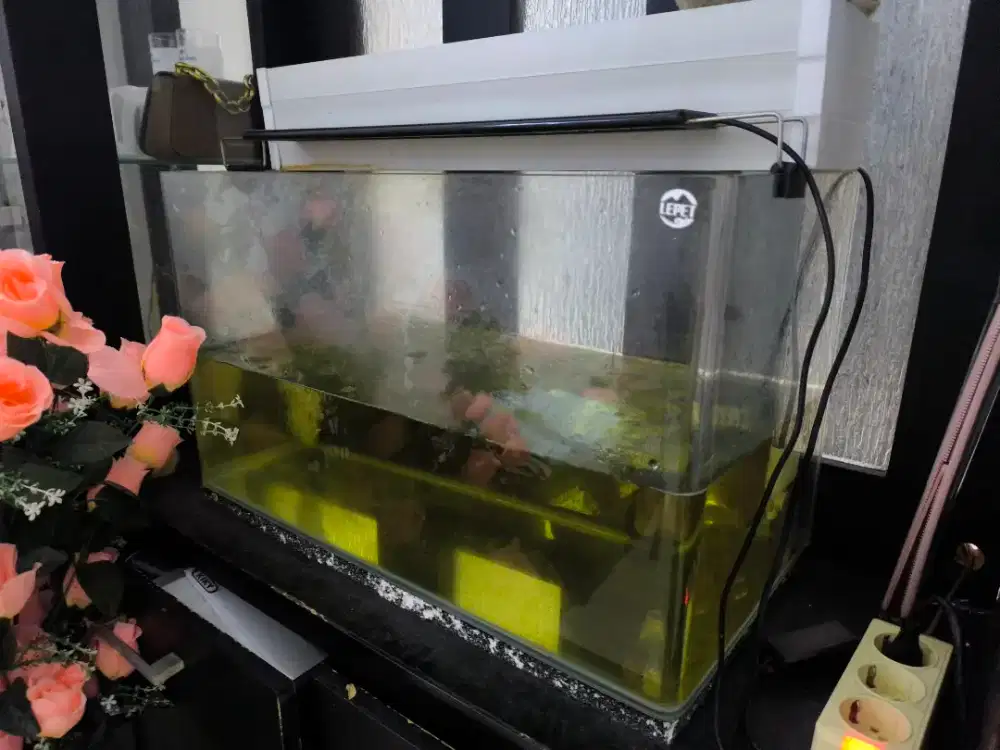 AQUARIUM BENDING