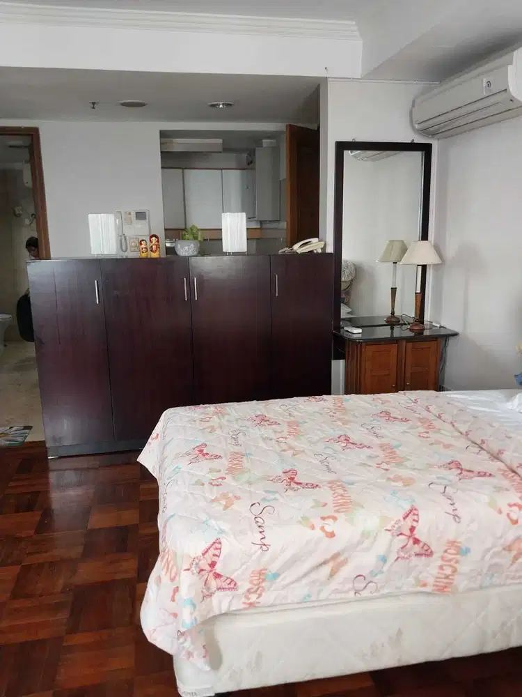 Disewakan Apartment 1 BR Bagus Furnished Park Royal Bendungan Hilir