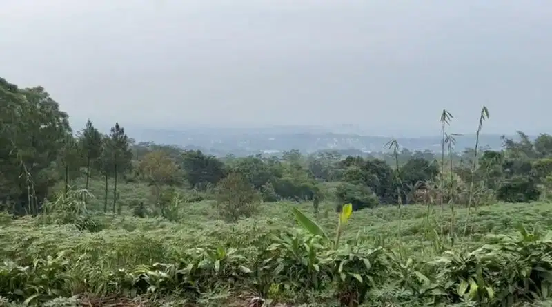 Jual Tanah murah 12.786m di Cijayanti Sentul Bogor