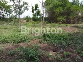 TANAH DI TANJANGRONO MOJOKERTO COCOK BUAT INDUSTRI RINGAN