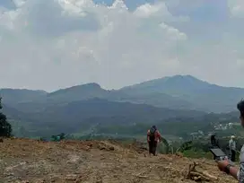 Jual Cepat Tanah Pinggir Jalan SHM Dekat Tol