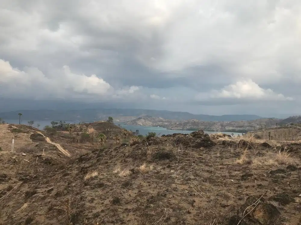Dijual Tanah di Labuan Bajo, Nusa Tenggara Timur