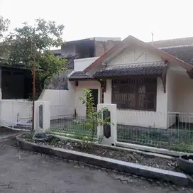 Dijual Rumah Lokasi Jl. Pucang Gading Raya Semarang
