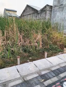 TANAH PETOK D DI SEMEMI SIAP DIBANGUN RUMAH