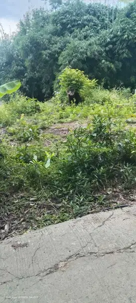 JUAL TANAH 1067M2 DI BOJONG MANGU- BEKASI