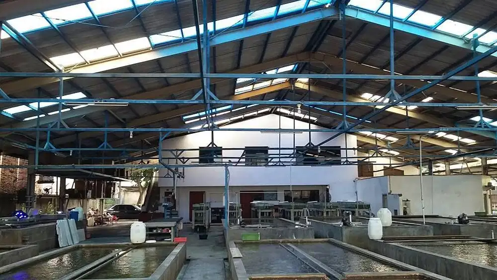 Termurah Dijual Gudang 1 Lantai dan Kantor di Kalideres Jakbar