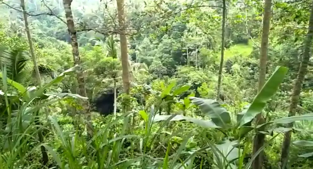 DIJUAL LAHAN VIEW ALAM UBUD