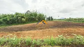 Jual Tanah Kosong daerah Karo di Jalan Kubucolia - Seberaya