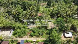 Land For Sale Murah Luas 500 m2 Lingkungan Villa di Sayan Ubud Bali