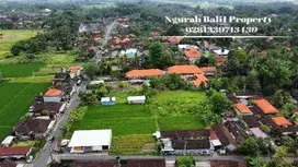 Land For Sale Murah Luas 900 m2 Lingkungan Villa di Ubud Bali