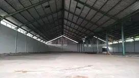 Gudang disewa di jln sentul citereup