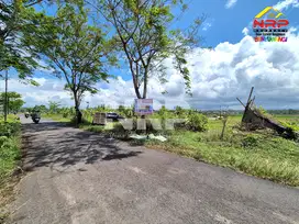Dijual Tanah View Persawahan di Pondoknongko, Kabat - Banyuwangi