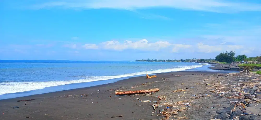 Tanah Los Pantai Jl Ida Bagus Mantra Tulikup Gianyar Bali