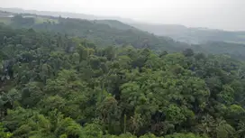Dijual Murah Tanah 3,7 ha Kebun Durian Cengkeh Kiarapedes Purwakarta