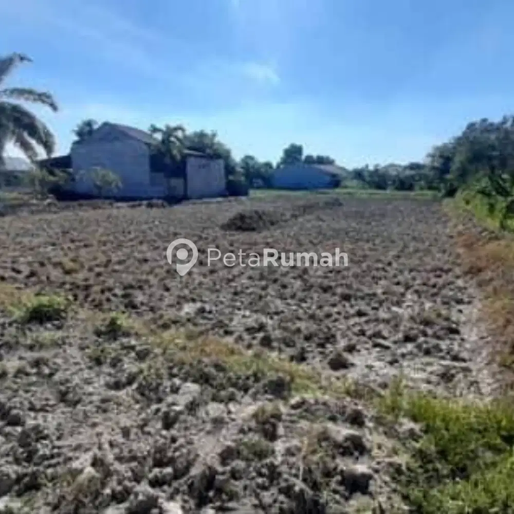 DIJUAL TANAH JALAN CINTA RAKYAT