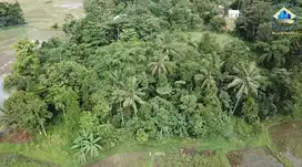 Jual Tanah Di Jalan Raya Jagabaya, Warung gunung - Rangkas Bitung