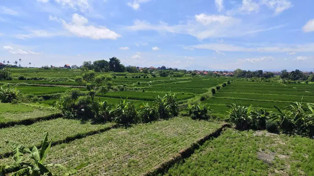 Dijual Tanah Plot Kecil di Ketewel, Sukawati - Bali.