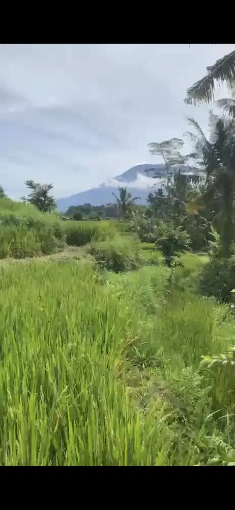 Land 17a for Lease at Kikian Sidemen Traditional Village Bali