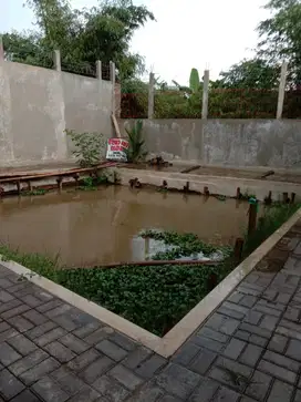 Dijual kolam ikan murah dibelakang Griya Cinunuk