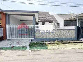 Rumah disewakan murah di Selat Sunda Sawojajar Malang