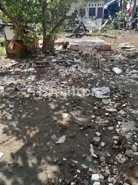 LAHAN BASAH DI ULUJAMI COCOK DIBANGUN KOS KOSAN