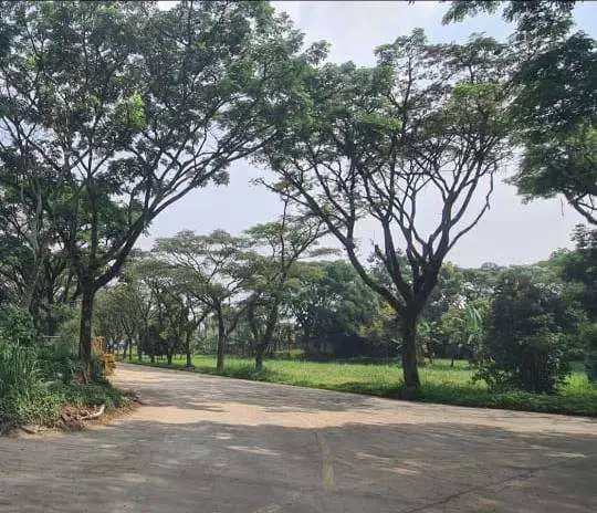 Disewakan Gudang Sangat Bagus Area Strategis Kawasan Industri Cimahi