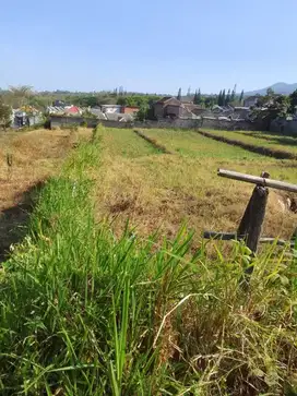 Trunojo atas  junrejo kota batu