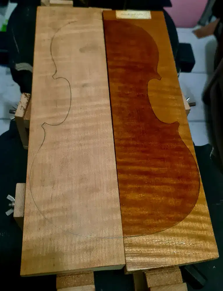 Jual kayu maple buat biola