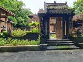 RUMAH BESAR ETNIK JOGLO TANAH LUAS SETENGAH HARGA DI MINGGIR
