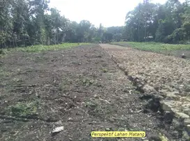Investasi Untung, Beli Tanah Murah Di Ciampea 11 Menit IPB Dramaga.