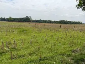Du Jual Tanah Zona Industri Di Cibogo Subang Jawa Barat