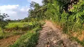 jual tanah murah LT 4000m², girik, akses jalan desa