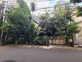 Ton -Dijual Rumah Tua Petojo Vij 1 Lantai Unfurnish