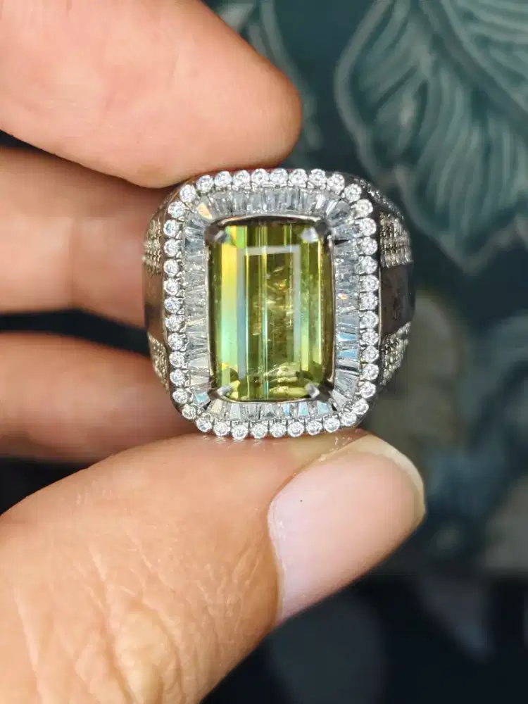 Natural Green Tourmaline 4.00crt Kristal Menyala
SKY LAB Perak Perak